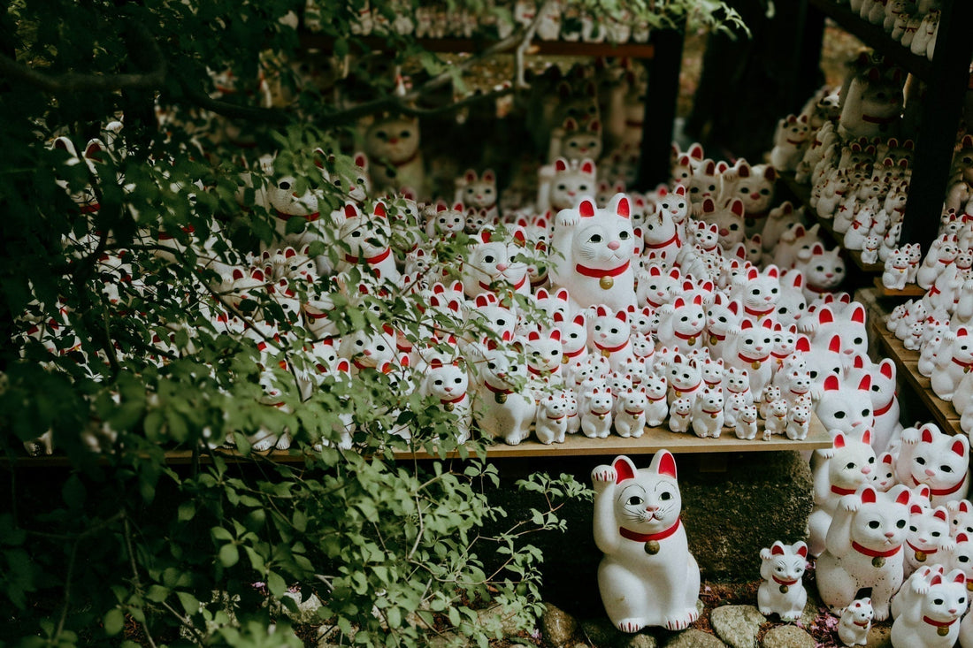 Discover the Top 10 Unique Things to Do in Tokyo Beyond the Tourist Spots - VOGH TRAVEL